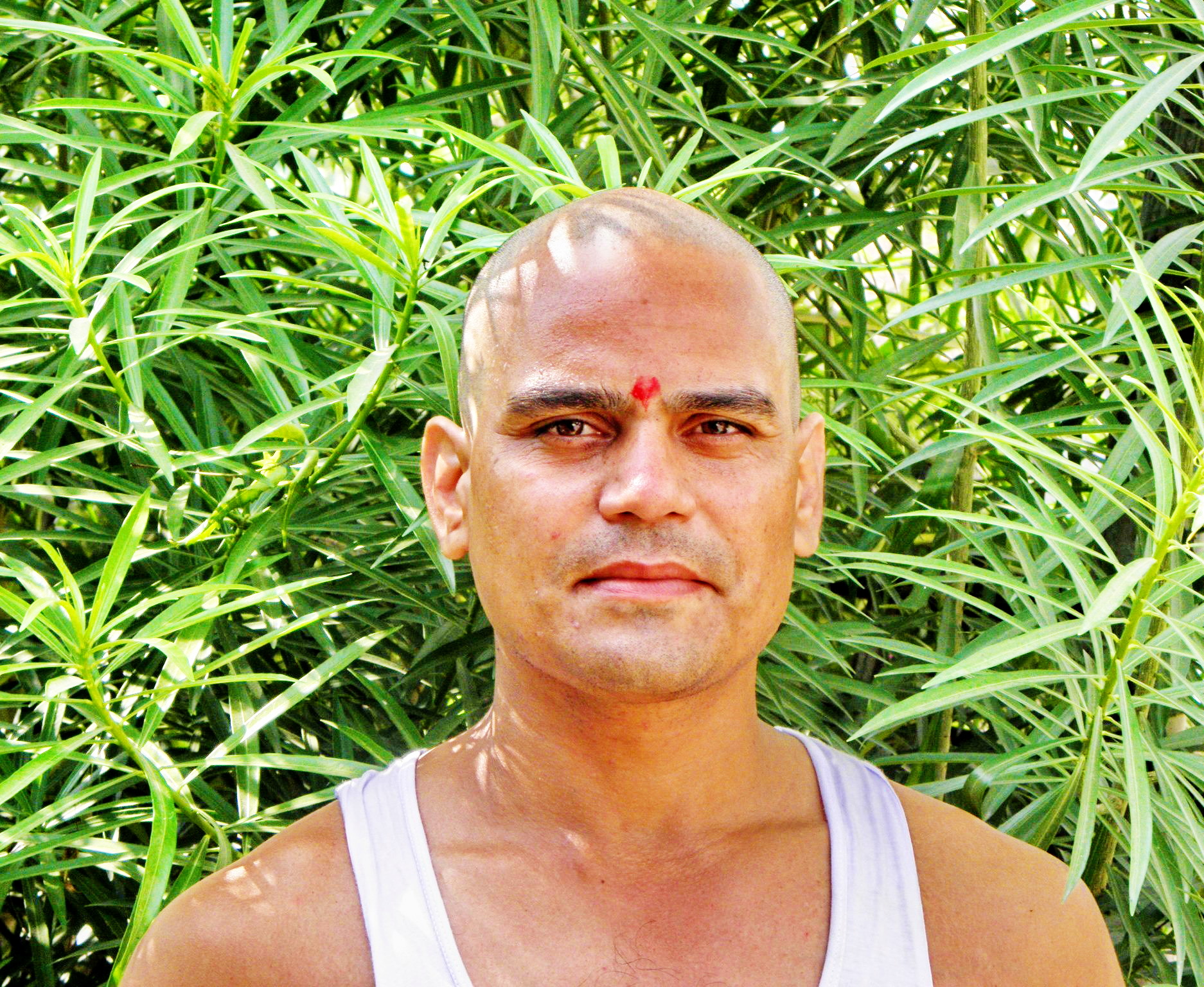 Yogi Anand