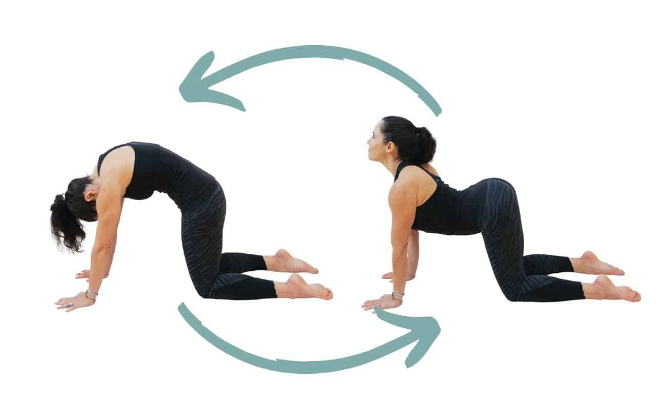 5 Yoga Poses (Asanas) for Back Pain Relief - Most Effective Exercises