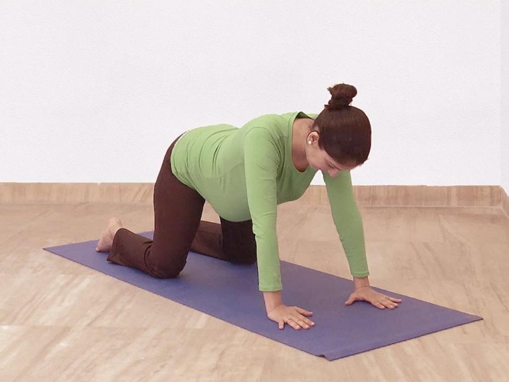 A women do cat/cow pose yoga in pregnancy